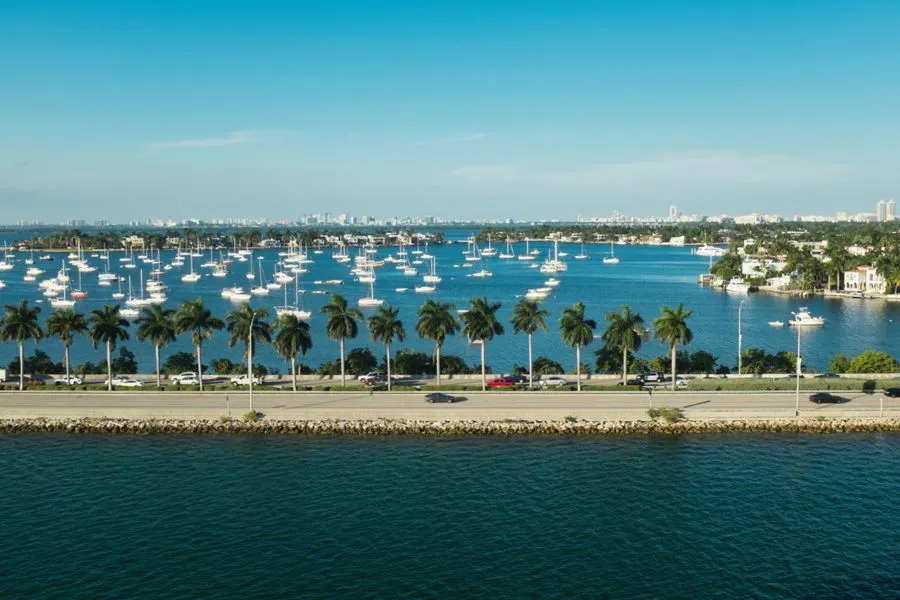 Coconut Grove